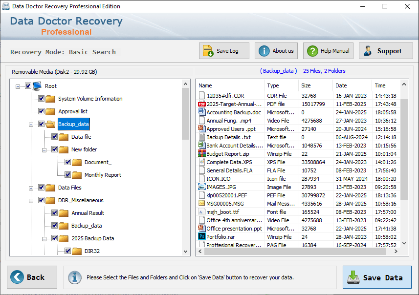 Professional Data Recovery