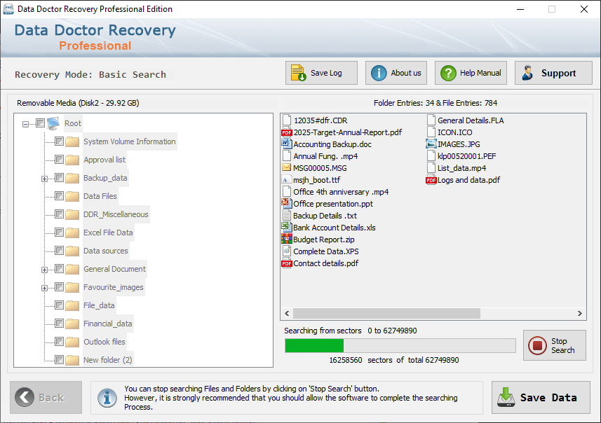 Professional Data Recovery